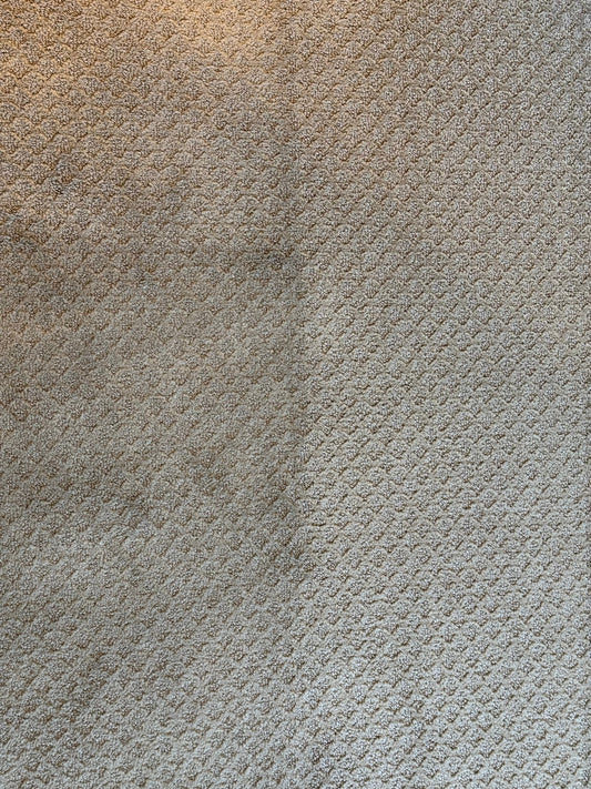 7 Signs Your Carpets Need to Be Deep Cleaned by GCS