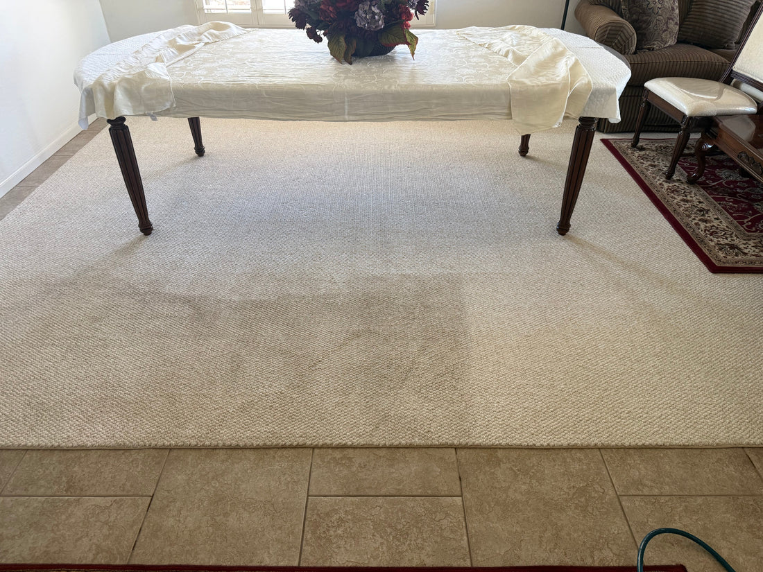 7 Signs Your Carpets Need to Be Professionally Deep Cleaned
