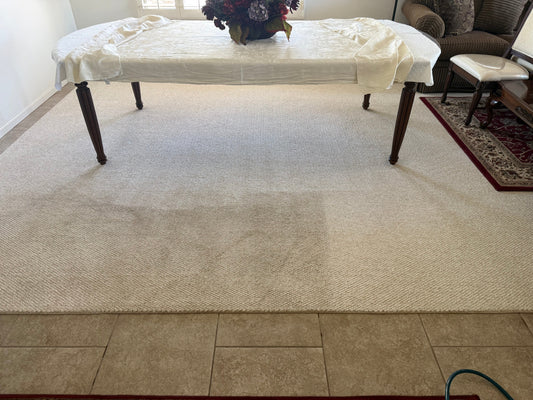 7 Signs Your Carpets Need to Be Professionally Deep Cleaned
