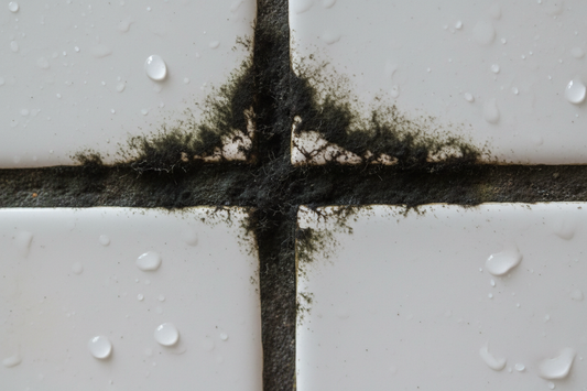 The Hidden Health Risks of Dirty Tile and Grout (And What to Do About It)