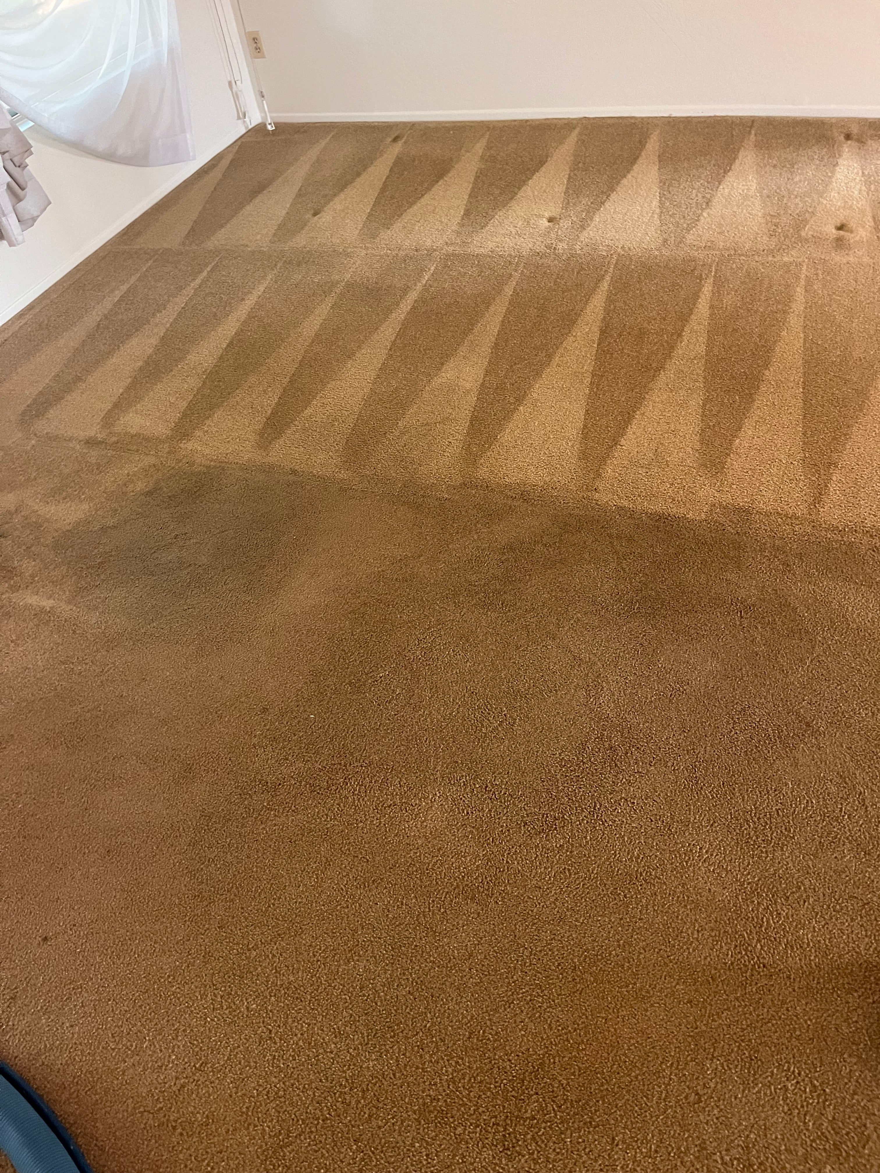Professional carpet cleaning in Gilbert, AZ living room
