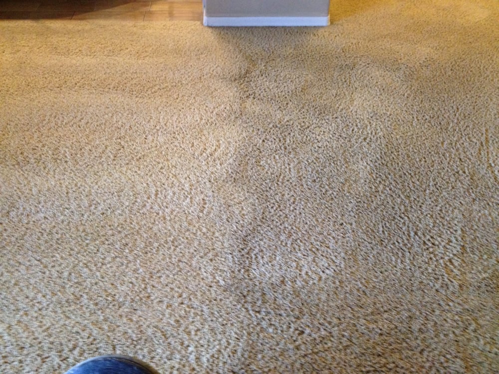 Removing carpet stains in Phoenix home
