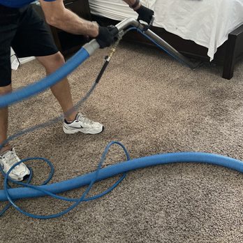 Pet stain removal from carpet in Chandler home
